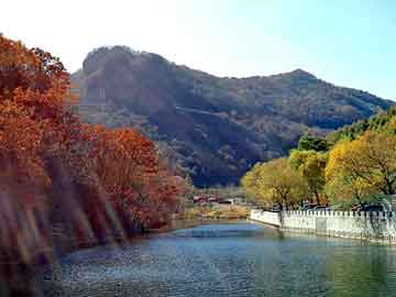 澳门天天彩期期精准平肖，左权seo建站